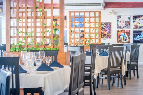 Elevating Dining for a Perfect Culinary Experience in Cayman