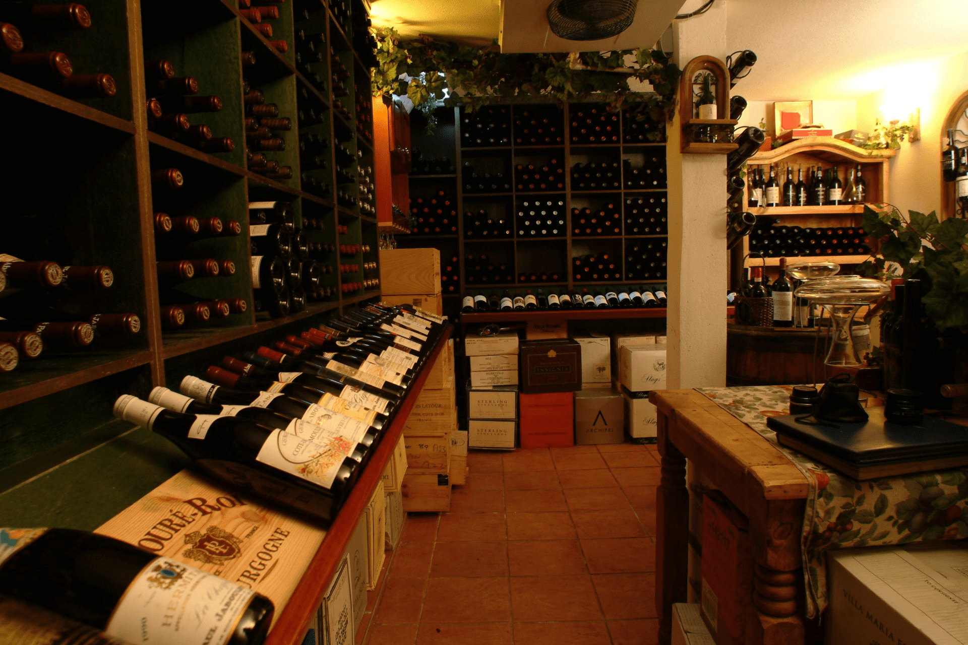 Wine Pairings for Every Occasion
