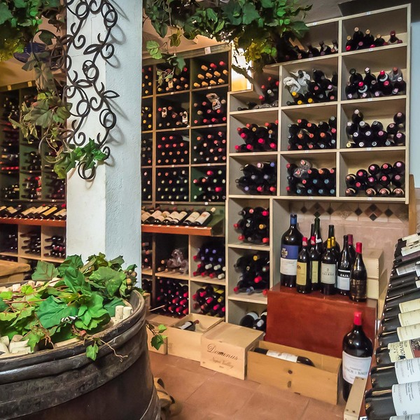 Red Wines Decoded: Unveiling the Enigmatic World of Cayman's Red Wine