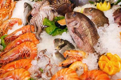 The Finest Seafood Delicacies with a View to Remember