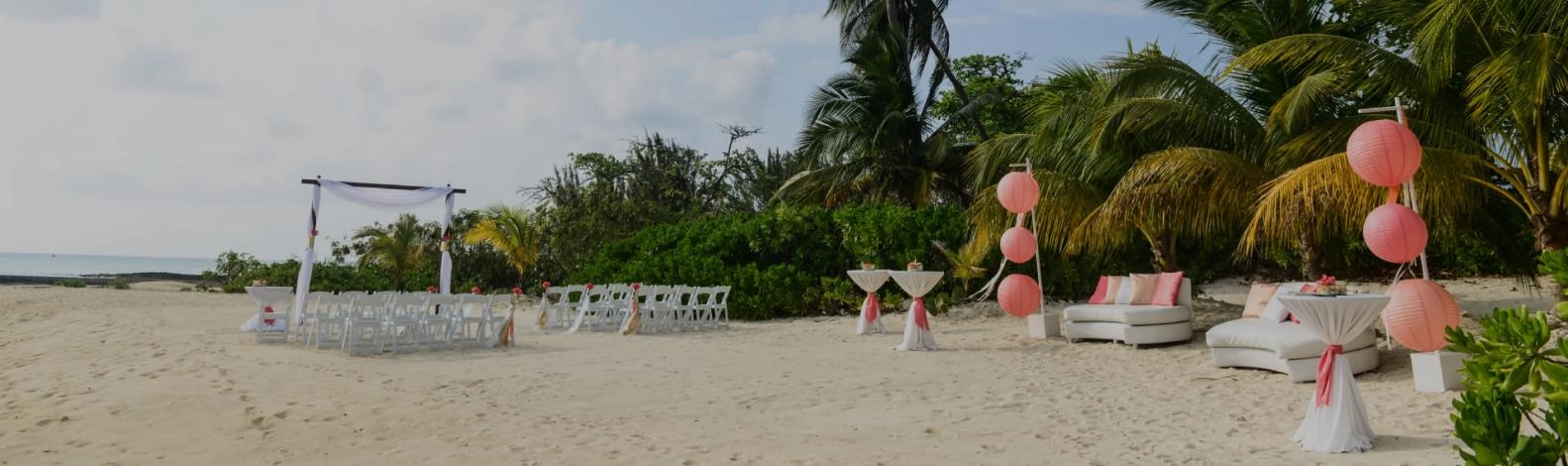 Wedding Gallery