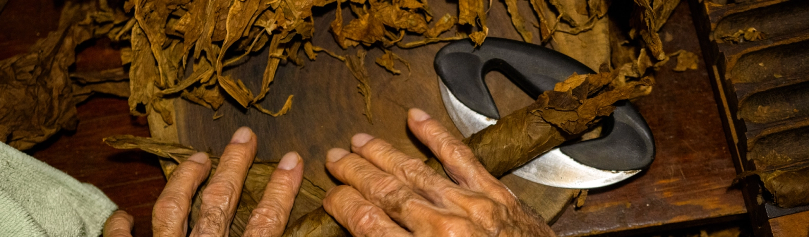 Papi's Cigar Collection
